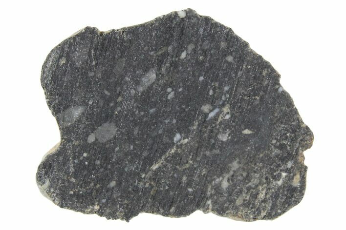 Polished Lunar Meteorite ( g) Section - NWA #360238